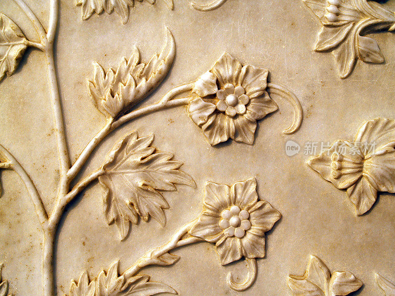 泰姬陵墙上的花卉图案