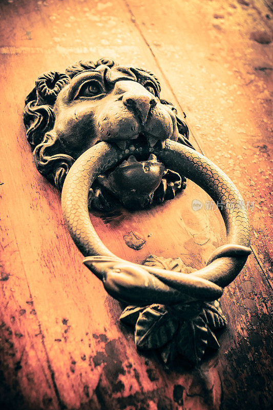 意大利费伦泽的邋遢门上的狮头门环