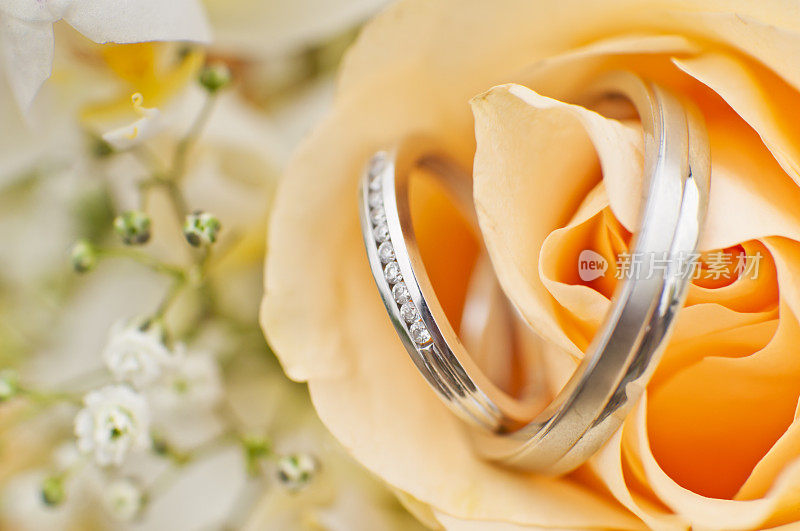玫瑰里的结婚戒指