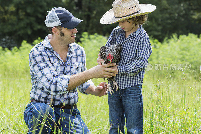 父亲和儿子在家庭农场里，手里拿着一只鸡