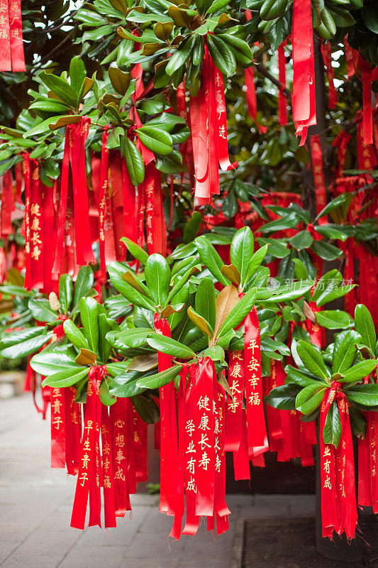 在道教寺庙里祈祷