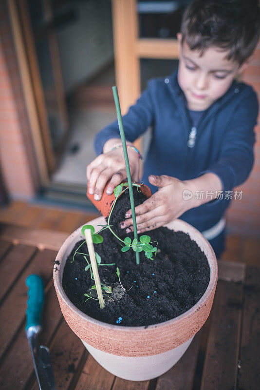 孩子照顾植物