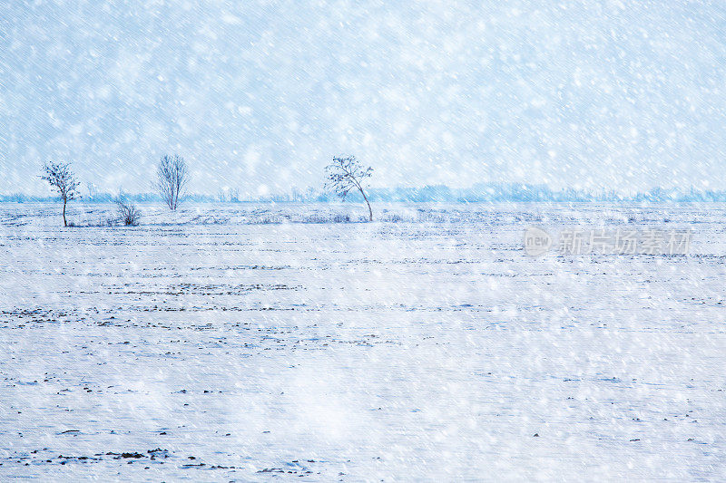 下雪在乡下