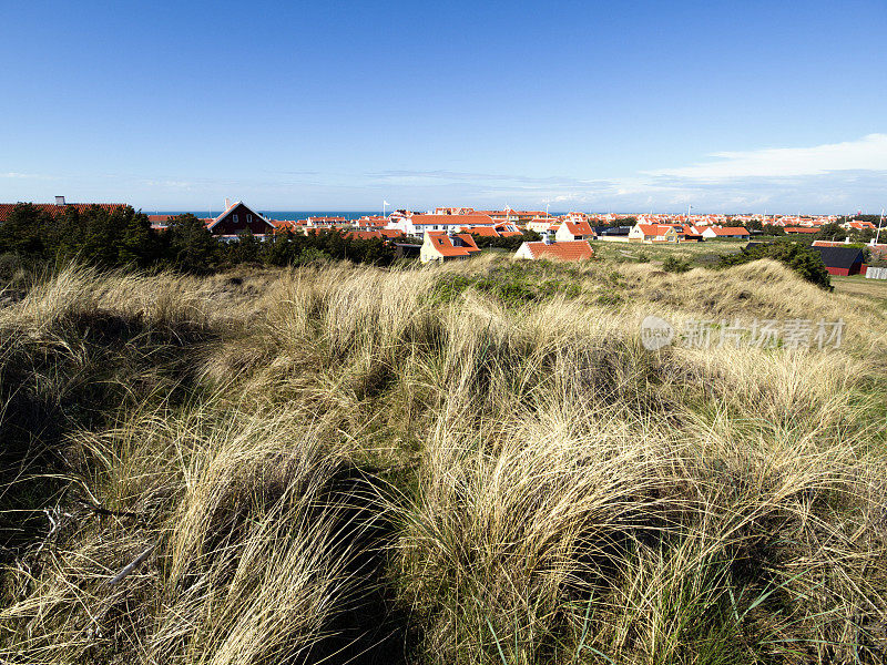 老Skagen