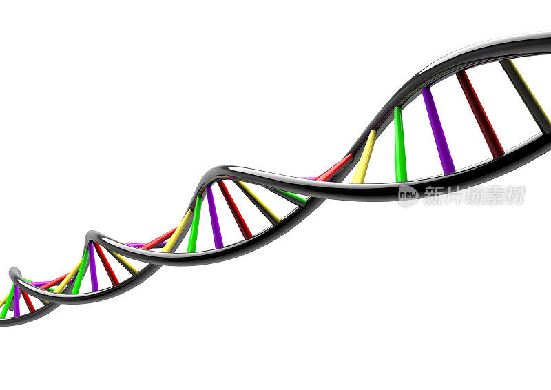 DNA链基因基因组在白色