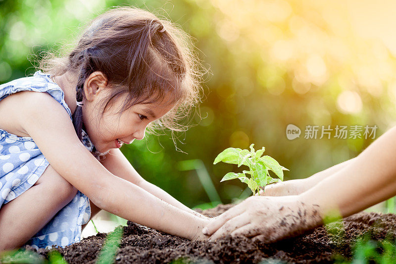 亚洲小女孩和父母一起在黑土上种植幼树