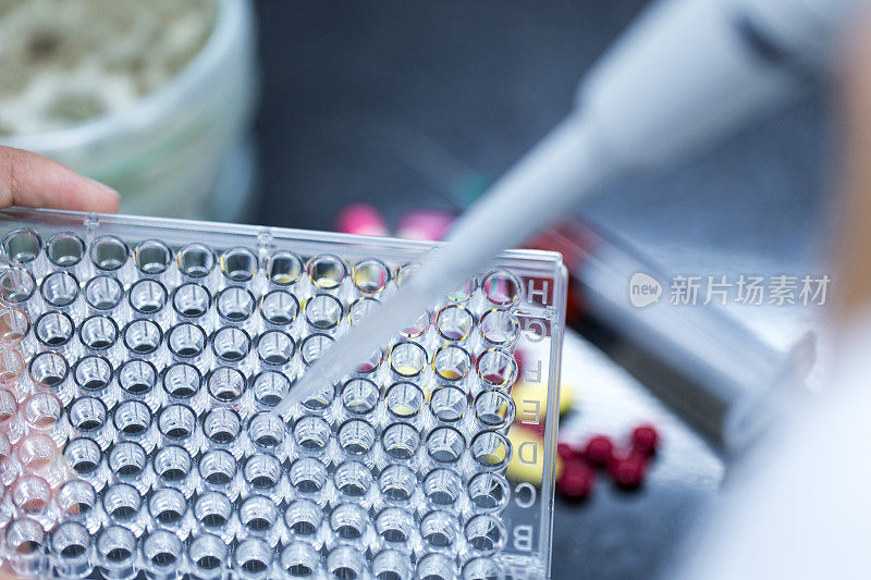 具有96孔微孔板实验室测试的科学研究背景。