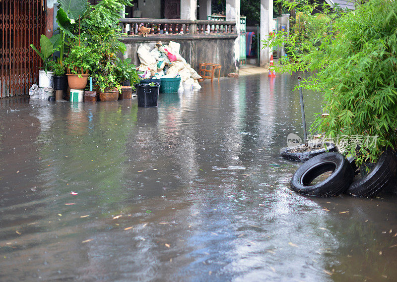 泰国曼谷市的洪水与降雨
