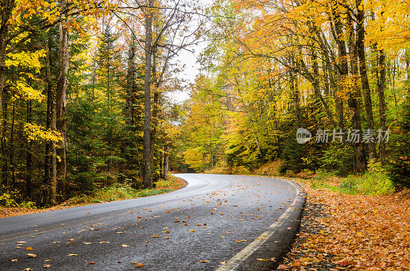 在秋天沿着风景优美的山路穿过一片落叶树林