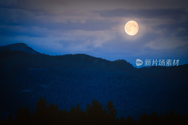 满月在黄昏在黑暗的山与云的背景和森林在前景