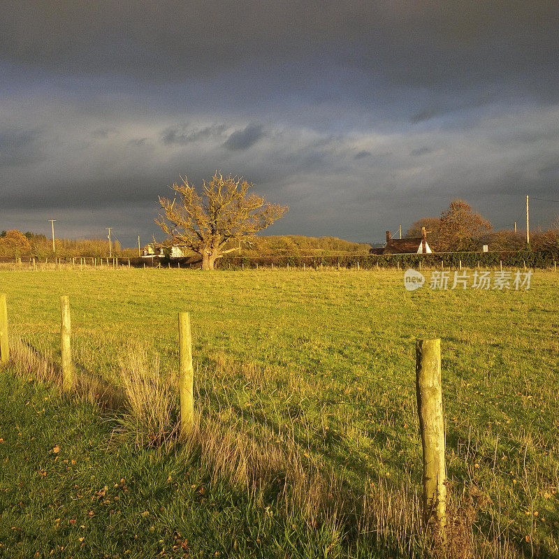 科茨沃尔德农场农田秋季景观广场伍斯特郡英格兰中部英国阳光