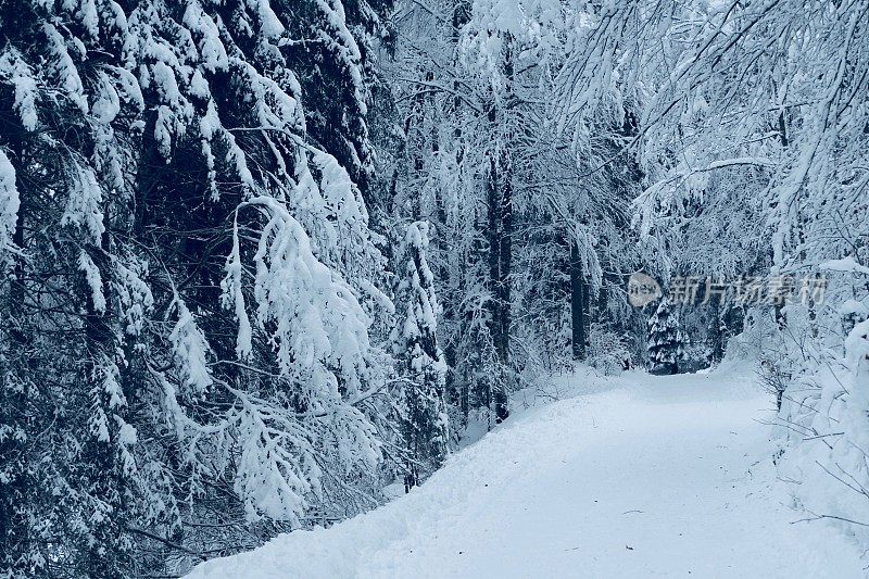 在欧洲阿尔卑斯山脉，冰雪覆盖的冬季景观和森林