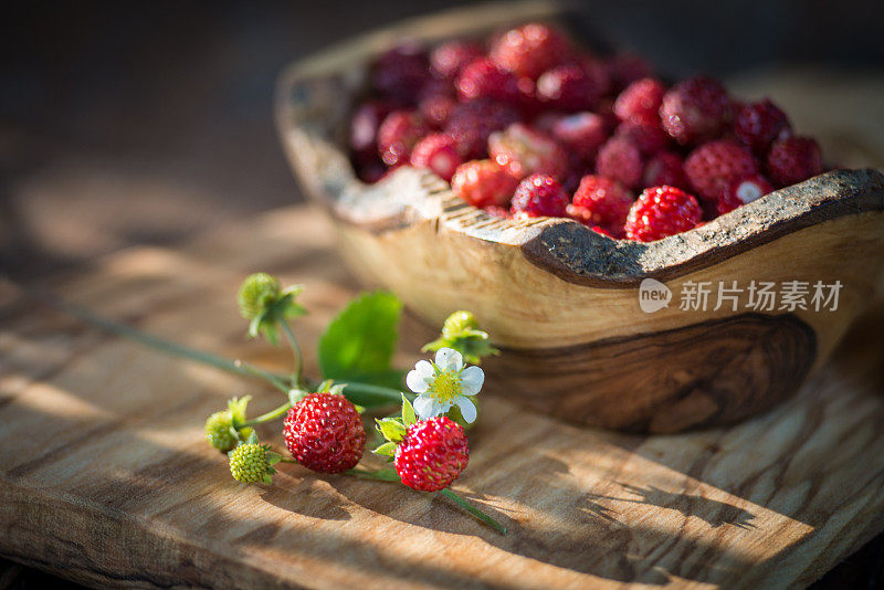 草莓装在一个盘子里，放在一棵乡下的树上