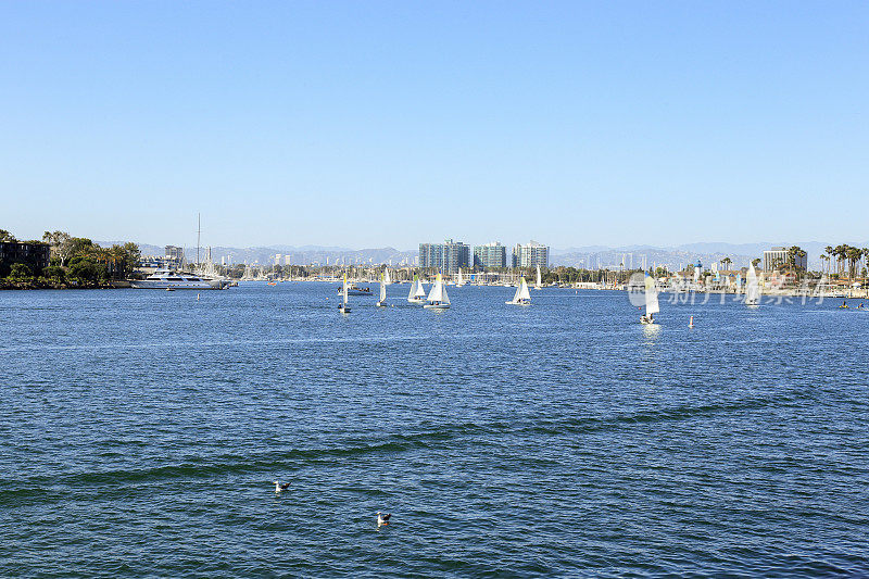 帆船在马里纳德雷，加利福尼亚
