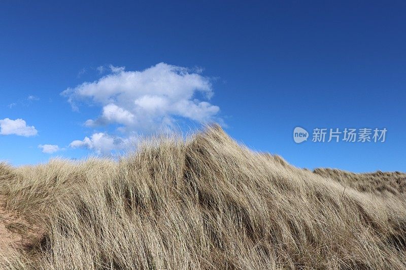 云景，云，海岸线，大海