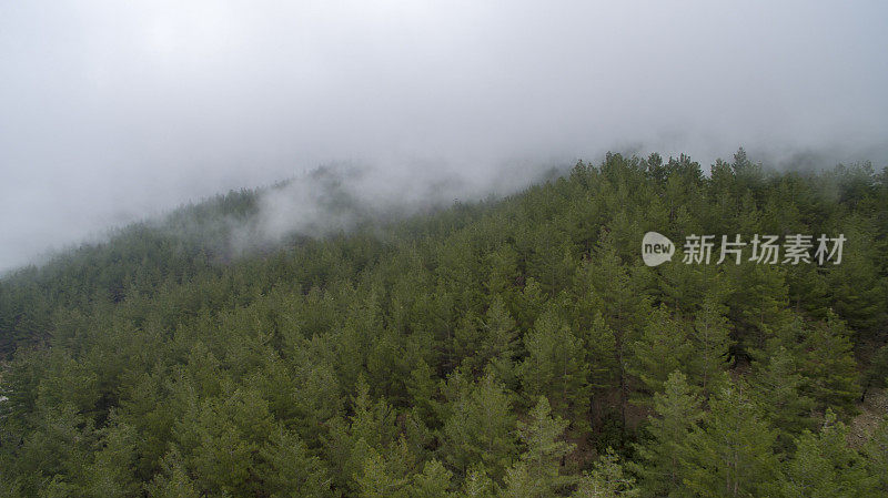 航拍:雾森林和山