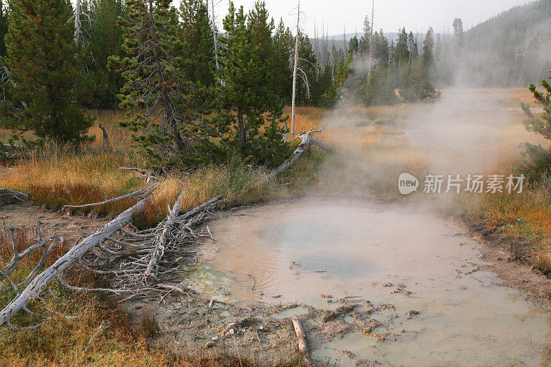 饼干间歇泉盆地蒸汽，黄石国家公园，WY