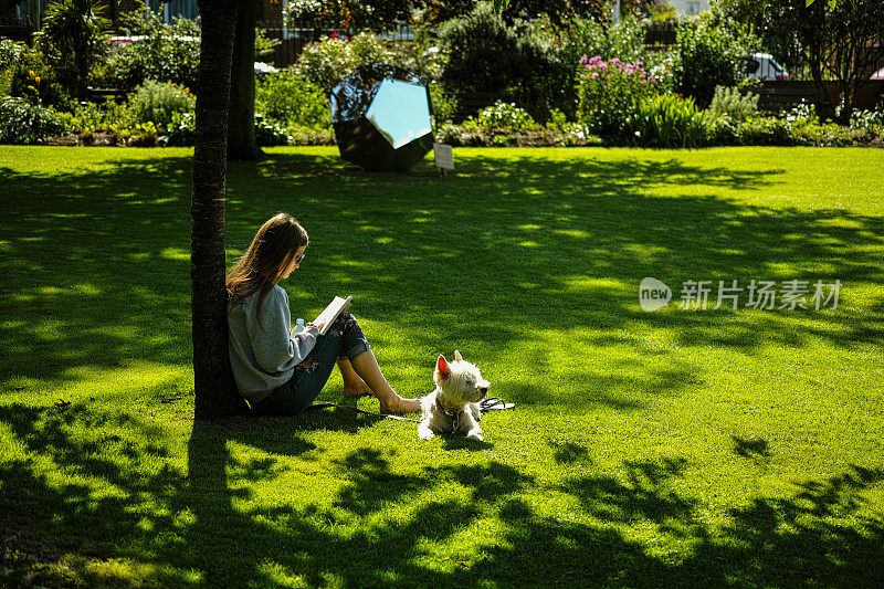 年轻的女士放松在草地上靠在一棵树上，阅读一本书，与她的狗在她的身边在一个炎热的夏天的一天。