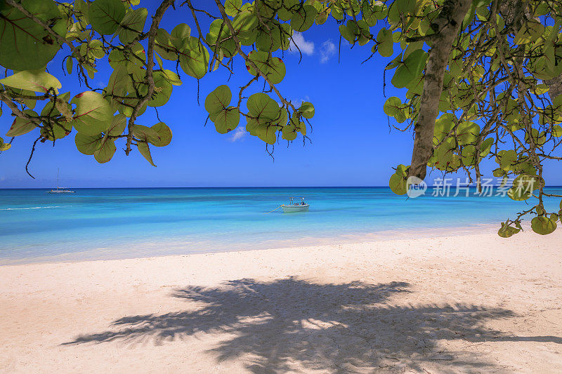 夏季天堂:热带海滩与游艇-蓬塔卡纳，加勒比