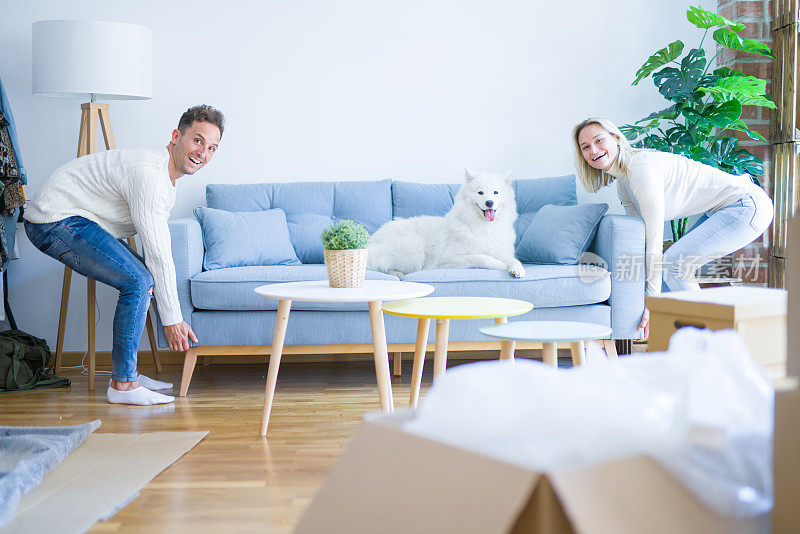 年轻漂亮的夫妇带着动物搬沙发在新家周围的纸板箱
