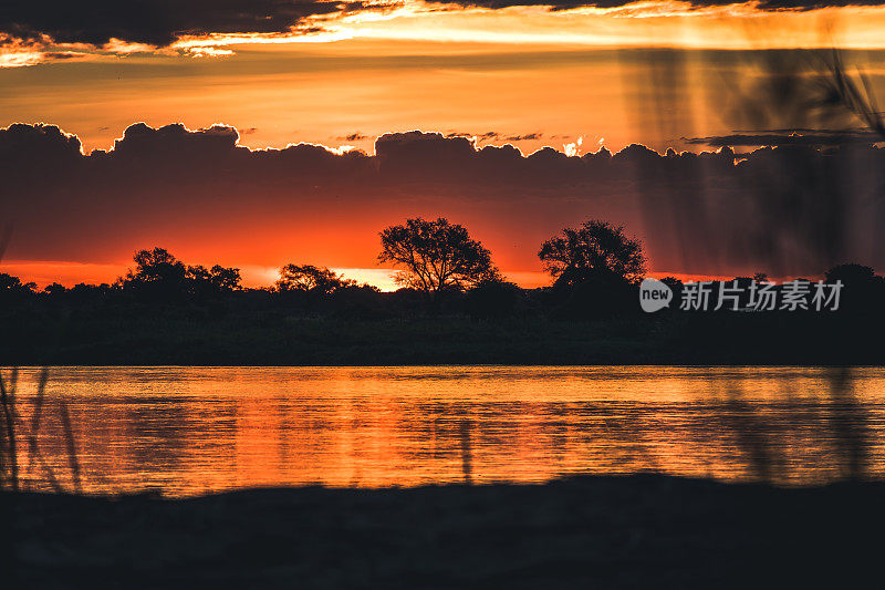赞比西河上的非洲日落全景