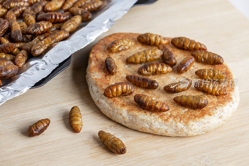 蚕蛹(家蚕)。食物昆虫作为食物食用。用熟虫肉制成的面包，以烤盘为底，以木为底，是一种优质的蛋白质可食用面包。昆虫学的知识概念。