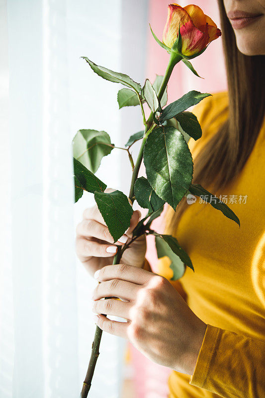 给精力充沛的女人的奢华礼物