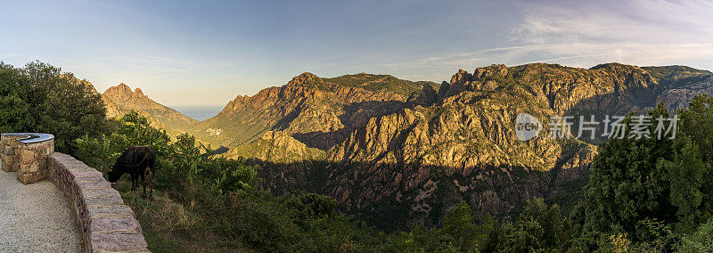 黎明时分的山脉全景