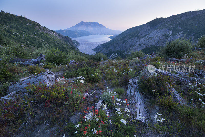 圣海伦斯山和灵湖