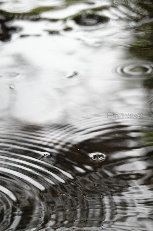 水坑里有水滴