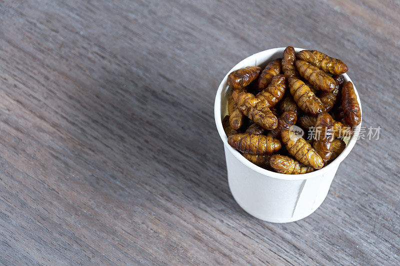 用作食物的蚕蛹昆虫。蚕蛹油炸酥脆小吃一次性杯带回家上木背景。它是很好的蛋白质来源食用。昆虫学的知识概念。