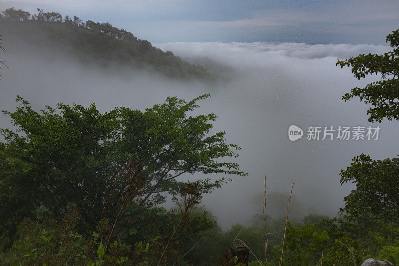 墨西哥恰帕斯地区的峡谷和丛林，雾气蒙蒙