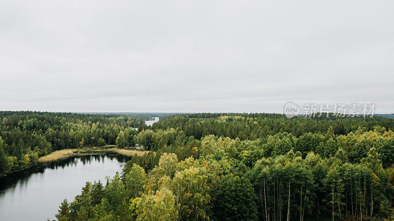 森林和天空景观在瑞典无人机图像