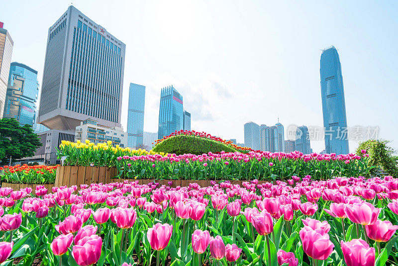 香港的城市公园