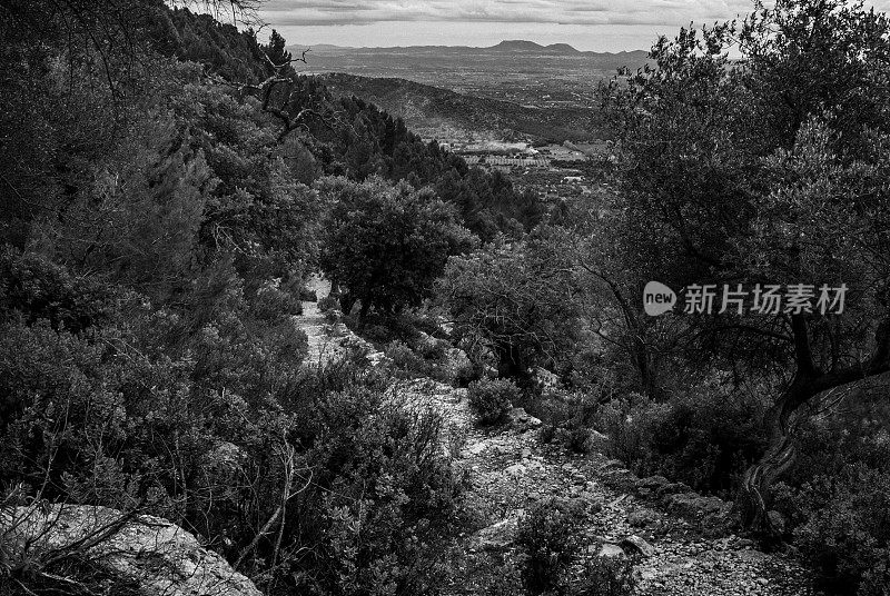 巴利阿里群岛马略卡岛上的山路