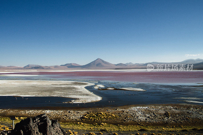 风景秀丽的拉古纳科罗拉多在日落在Altiplano，玻利维亚