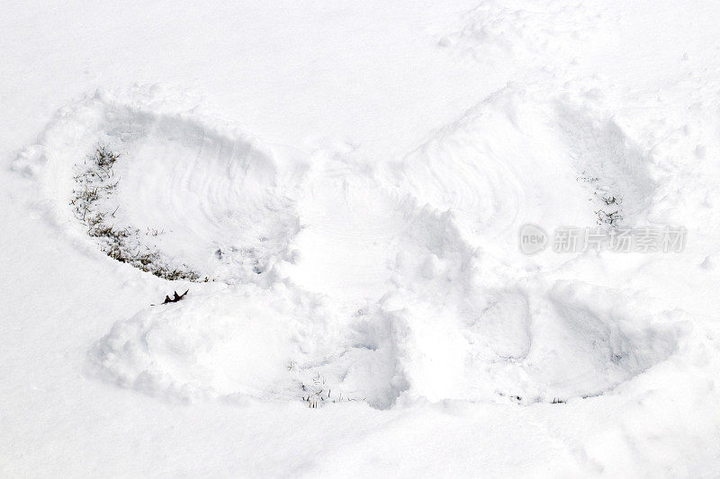 雪的天使