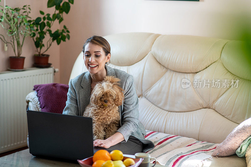 一个年轻女子坐在沙发床上，把她的狗抱在膝盖上，用着笔记本电脑。