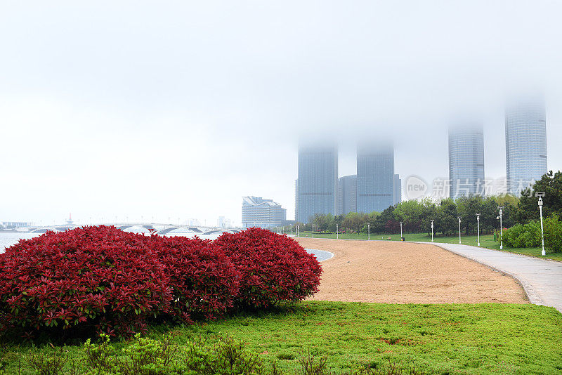 中国山东省日照市，花儿在春雨中绽放