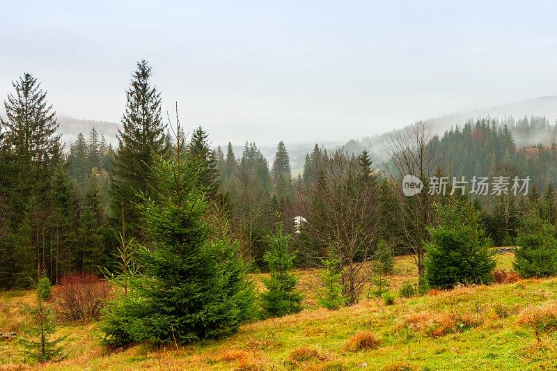 乌克兰,喀尔巴阡山。秋山中晨雾的时间流逝。风景有雪山和流动的雾。