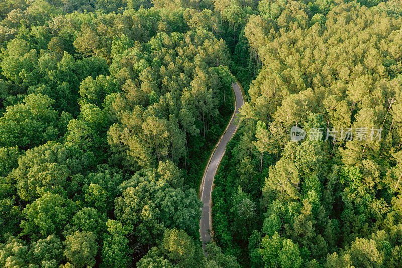 空中的跑步，步行，和自行车的森林小径