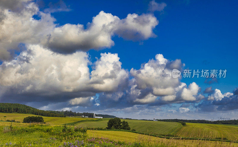 Lac-Saint-Jean多产的农业。