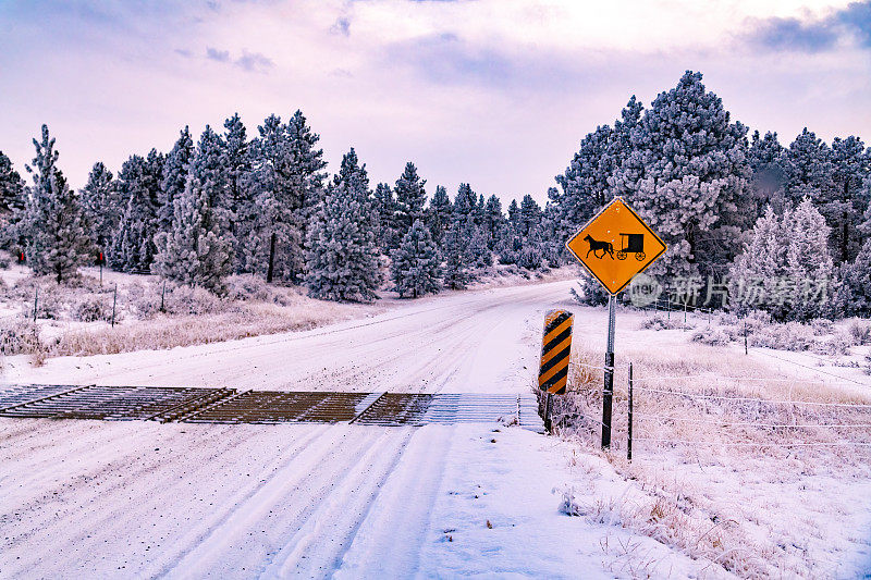 日落时分，蒙大拿山上的泥土路被白雪覆盖