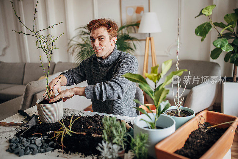 里德海德先生在家里种植室内植物