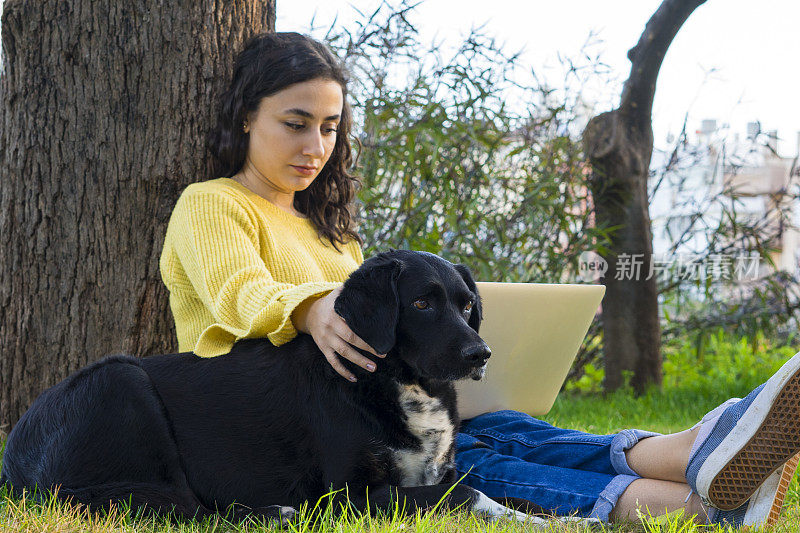 一名年轻女子在公园里工作，手提电脑，一只流浪狗陪在她身边