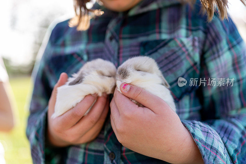 女孩抱着两个睡着的小兔子