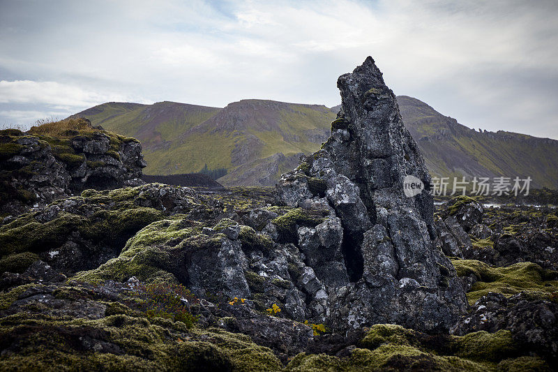 苔藓覆盖着冰岛的岩石和火山景观