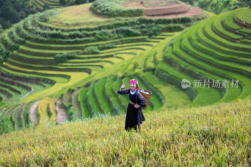 一名苗族妇女站在越南颜白木仓柴的梯田上。