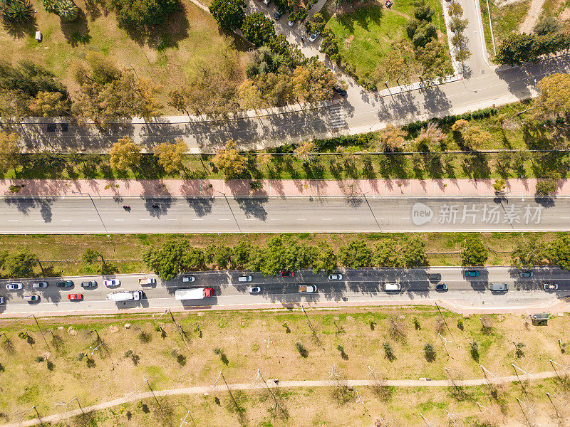 鸟瞰林地和公路。