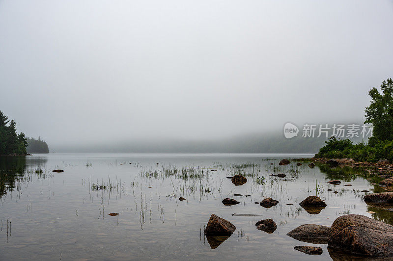 美国缅因州阿卡迪亚国家公园约旦池塘的水边，远处有雾